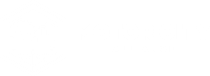 Motor City Alliance